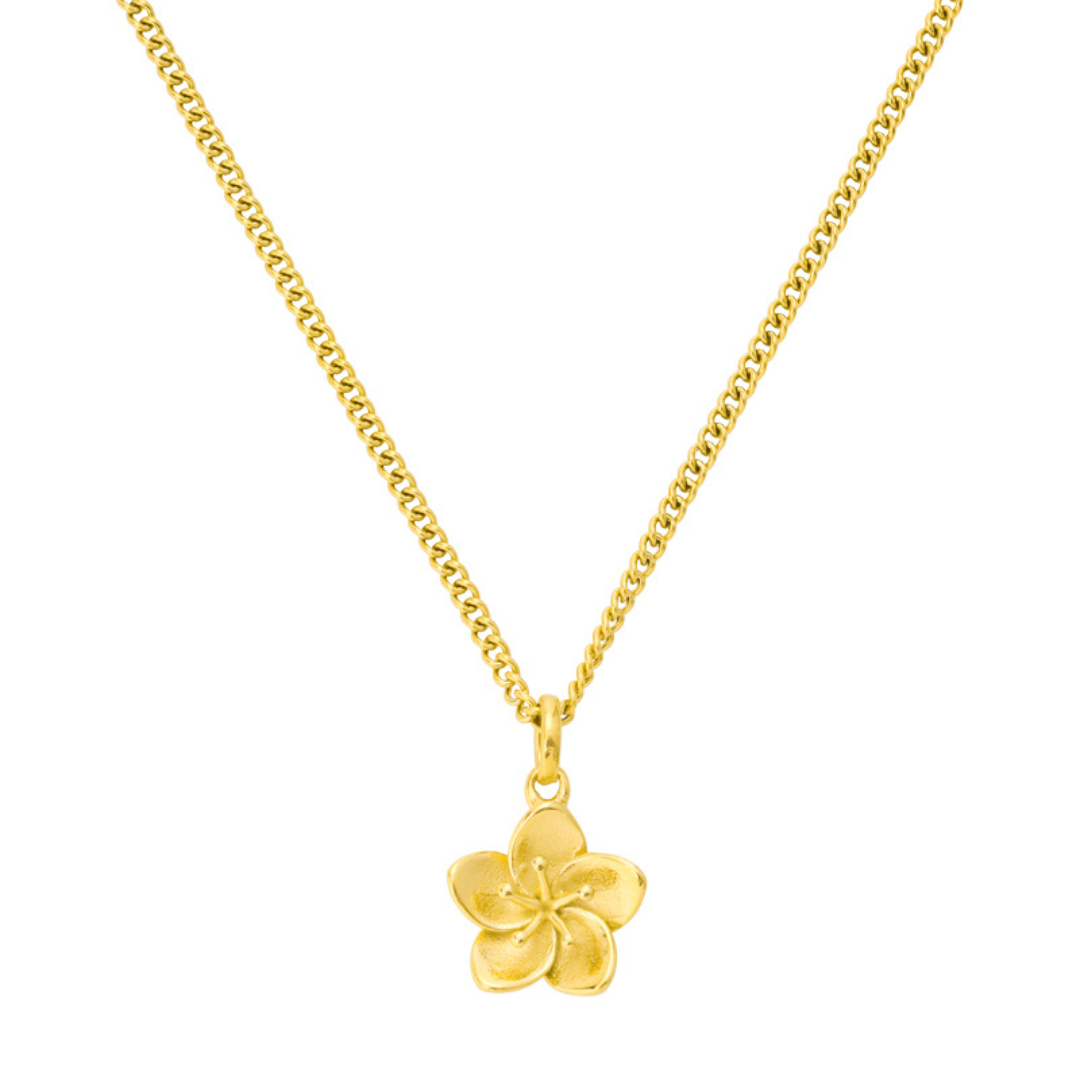 Collar de flor de hibisco