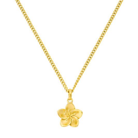 Collar de flor de hibisco